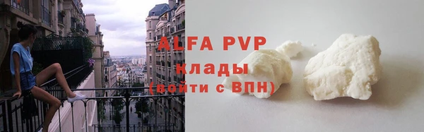 дживик Пересвет