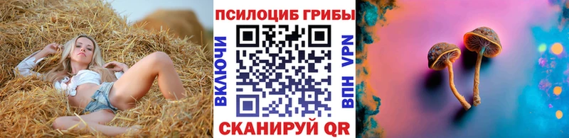 цены наркотик Холмск гидра tor Галлюциногенные грибы Psilocybine cubensis