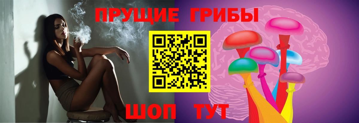 Псилоцибиновые грибы MAGIC MUSHROOMS  Галлюциногенные грибы Psilocybe  Холмск  Вход с VPN 